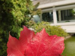 -春兰国宾馆(凤城河风景区老街店)