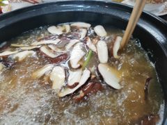 -乳仔牛牦牛汤锅 烤羊排(松潘古城店)