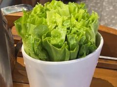 -禄婶鸡煲·打边炉