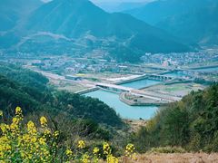 -桑洲油菜花景区