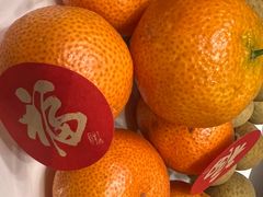 -金鼎轩(方庄店)