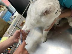 -天津前进宠物医院(前进道店)