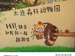 -大连森林动物园