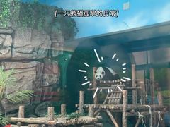 -大青山野生动物园