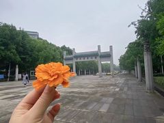 -武汉大学老图书馆