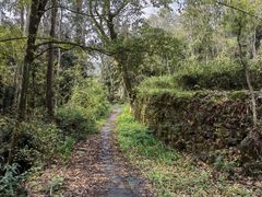 -唐崖土司城遗址