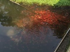 -普陀山风景名胜区-法雨禅寺