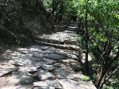 -北京鹫峰国家森林公园