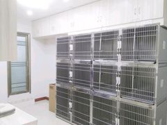 -瑞派康怡24h宠物医院·犬猫医疗中心·微创绝育(瑞景分院)