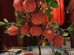 妃子笑-长安大牌档之上元灯会(南大街店)