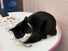 -FAELING PETS美天灵宠物(富力广场店)