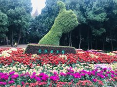 -富乐山