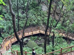 -大岭沟猕猴桃谷风景区