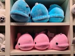 -上海海昌海洋公园