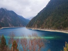 -乐山乌木文化博览苑