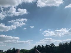 -上海市龙华烈士陵园