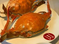 -开海·红岛海鲜虾水饺(石老人店)