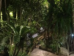 -绿光森林餐厅