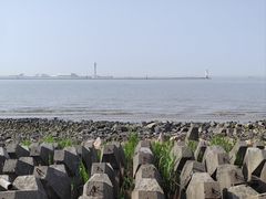 -上海滨江森林公园