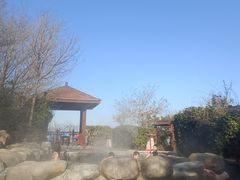 -徂徕山森林康养度假谷温泉