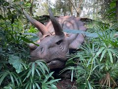 -海南热带野生动植物园