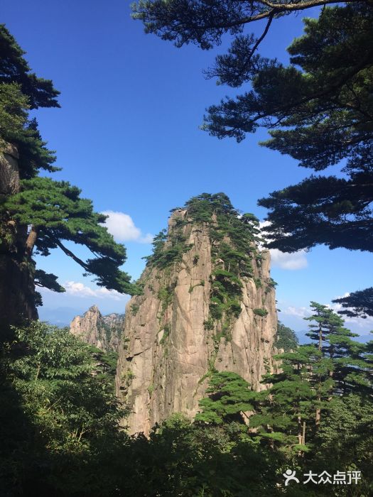 黃山風景區-圖片-黃山景點/周邊遊-大眾點評網