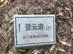 -梧桐山风景名胜区