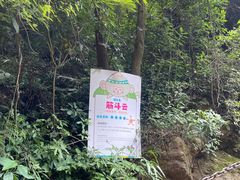 -南海湾森林生态园