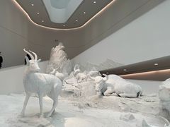 -中国湿地博物馆