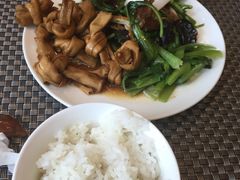 -金孔雀温泉旅游度假村