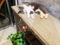 -花十悦·鲜花咖啡餐厅(振业城一期店)
