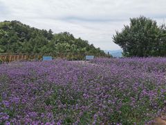 -云峰山自然风景区
