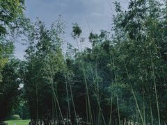 -春晖园度假酒店温泉