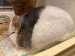 -龙猫仔乐园(惠福东路店)