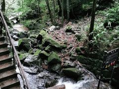 -藏龙百瀑风景区