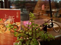 -听香·678茶铺(猛追湾店)