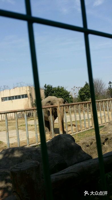 南昌動物園圖片