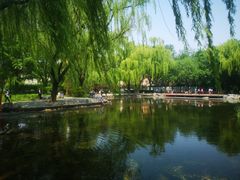 -玲珑塔公园