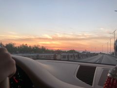 -合肥滨湖国家森林公园