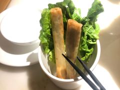 -佬肥猫(国华广场店)