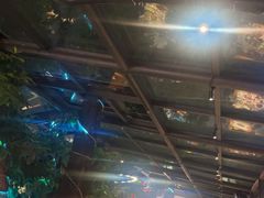 -海岛八号龙虾烧烤田鸡(蓝天路总店)