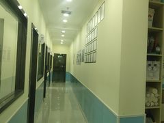 -天宠宠物医院24小时·急重症诊疗中心·全科·腔镜特色(和平分院)