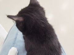 -共舞时光猫咖·狗咖(新街口店)