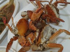 -莲花公园煎蟹(总店)