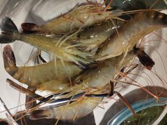 -椰子湾·海南火锅·糟粕醋·椰子鸡(正大广场店)