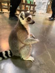 -Zoolung Zoolung动物主题公园(海信广场店)