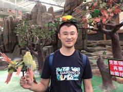 -西霞口神雕山野生动物世界