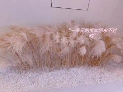-佳妍惠美科技美肤美体中心