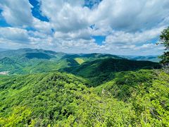 -天女山森林公园
