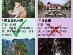 -张家界天门山国家森林公园
